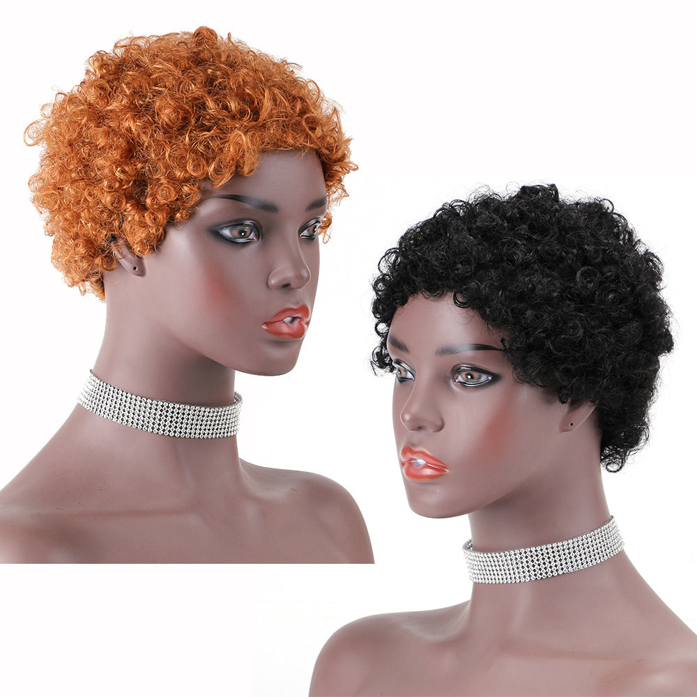 Short Afro Curl Pixie Wigs 100% Human Hair Wig No Lace Wig Jerry Curly Wig for Women