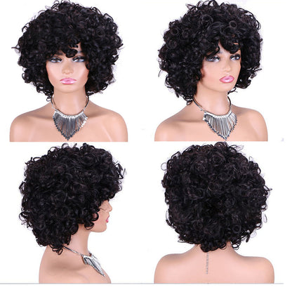 8.21  2 Color Pixie Cut Curly Wig No Lace Bob Wigs Glueless 220% Human Hair