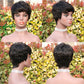 Pixie Wigs Short Black Wavy Layered Short 100%Human Hair Wigs for Black Women