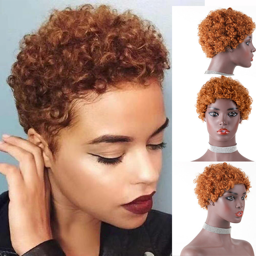 Short Afro Curl Pixie Wigs 100% Human Hair Wig No Lace Wig Jerry Curly Wig for Women